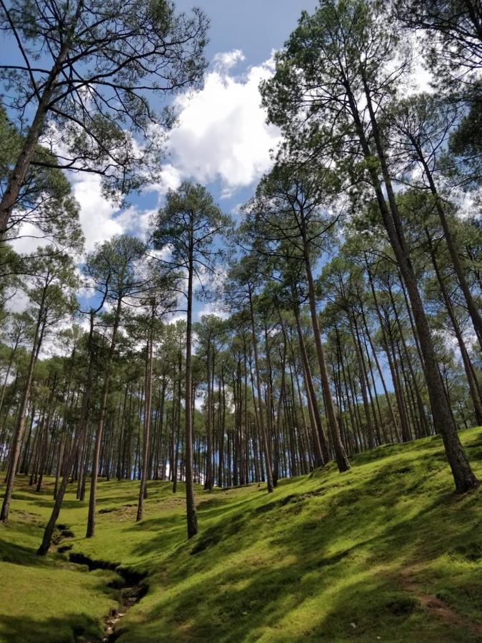 The Frostwood Resort Ranikhet Exterior photo